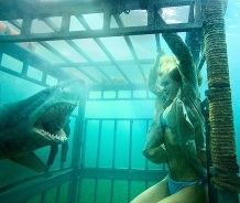 shark night 3D 
